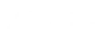 Advance Illinois logo