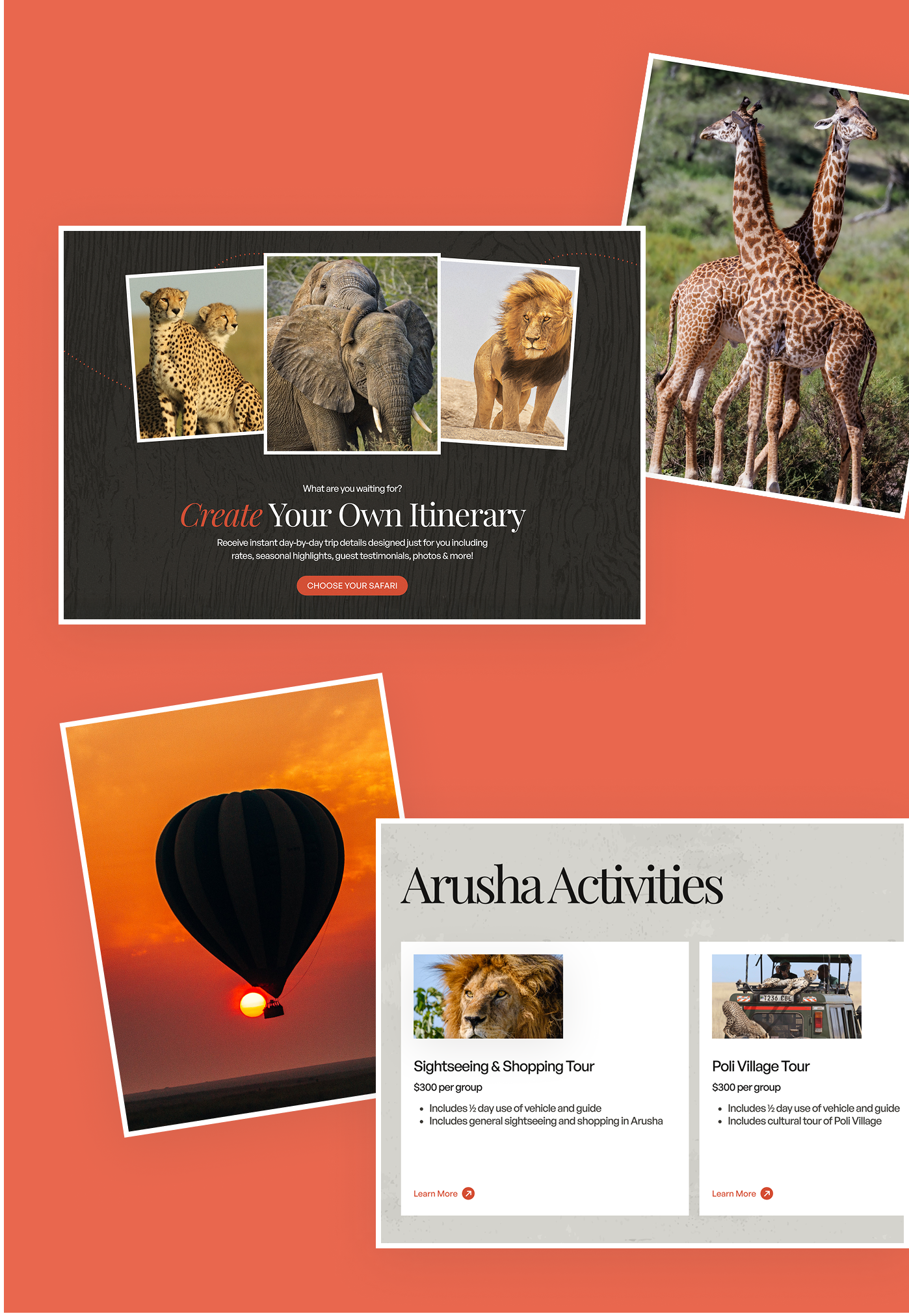 Africa Dream Safaris digital brand exploration